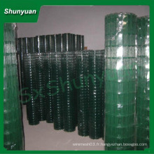 Meilleur prix en PVC recouvert Green Holland Wire Mesh / pvc holland treillage métallique (fabricant professionnel, usine